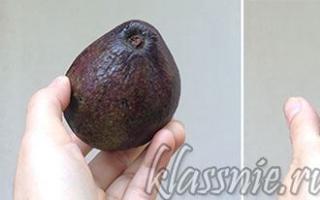 Как выбрать спелый авокадо в магазине — простые рекомендации